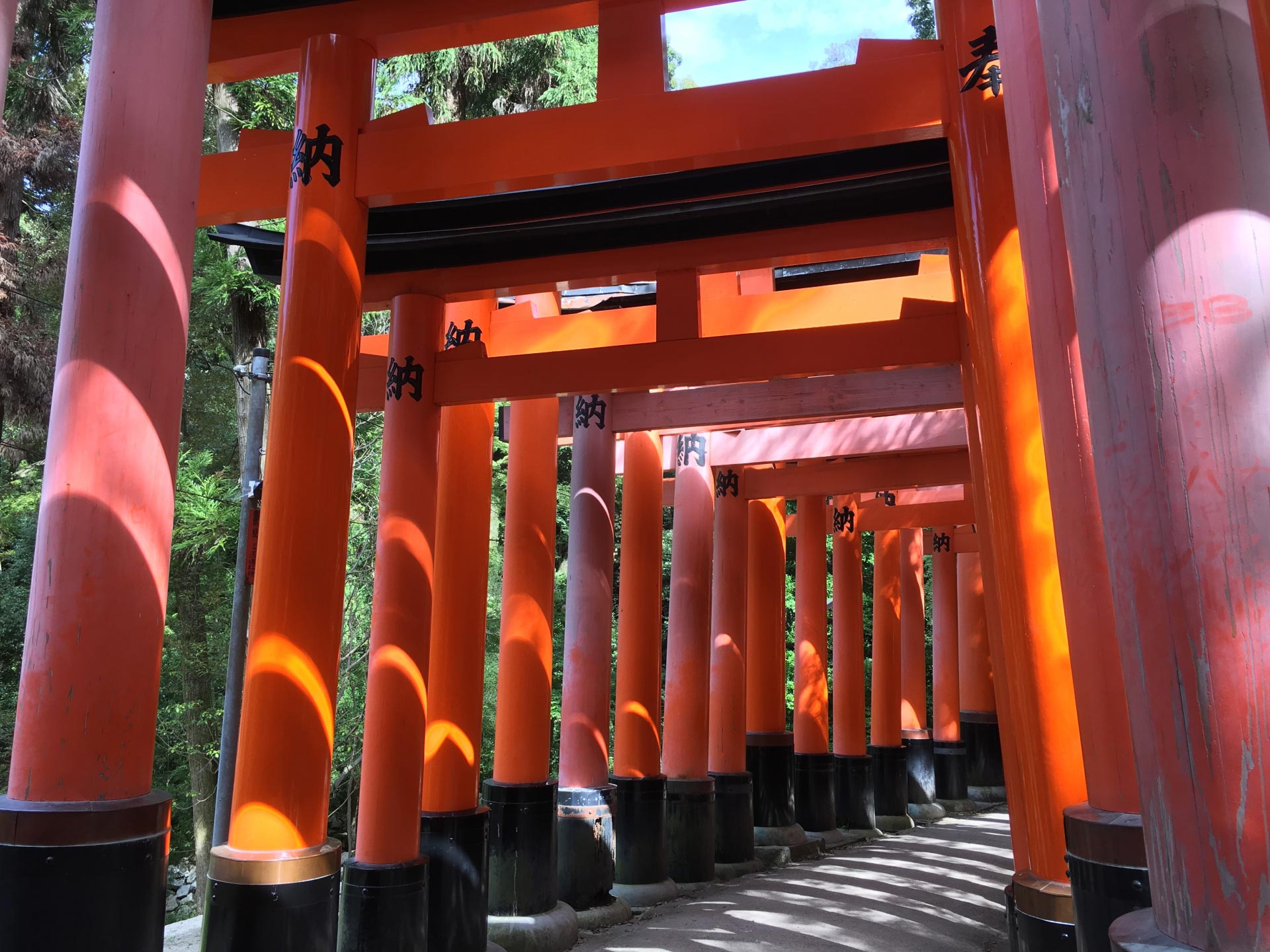 鳥居をくぐるときには必ず一例