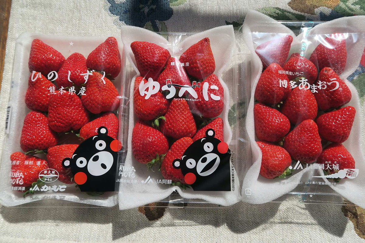 ▲筆者が4月に出合った3品種のイチゴ。人気の高い『あまおう』(右端)の名は「あかい・まるい・おおきい・うまい」の頭文字が由来。