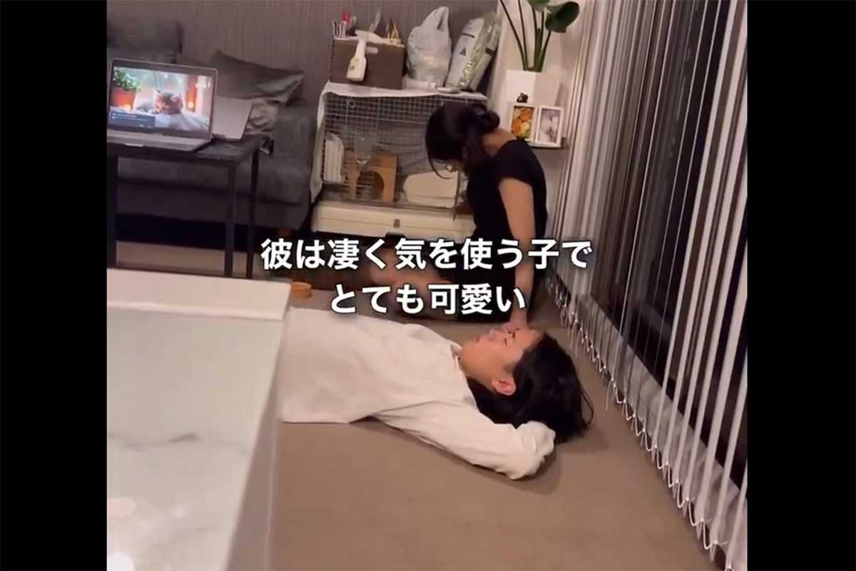 投稿妻 とは？ | LASISA（らしさ・ラシサ）
