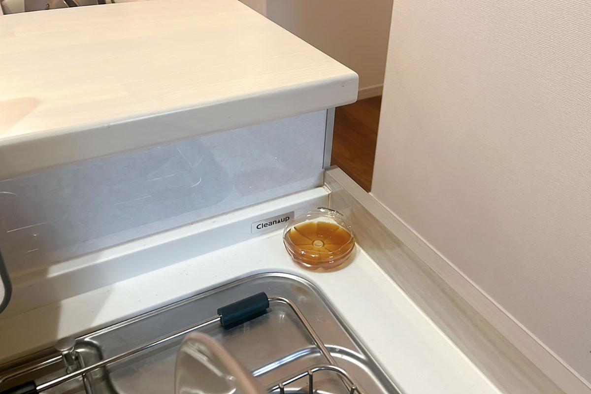 小バエが来そうなところに置く