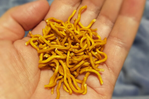 パリパリ食感の“定番”おやつを使った簡単レシピ！コロッケから簡単おつまみまで！思わず試したくなる衝撃レシピ3選
