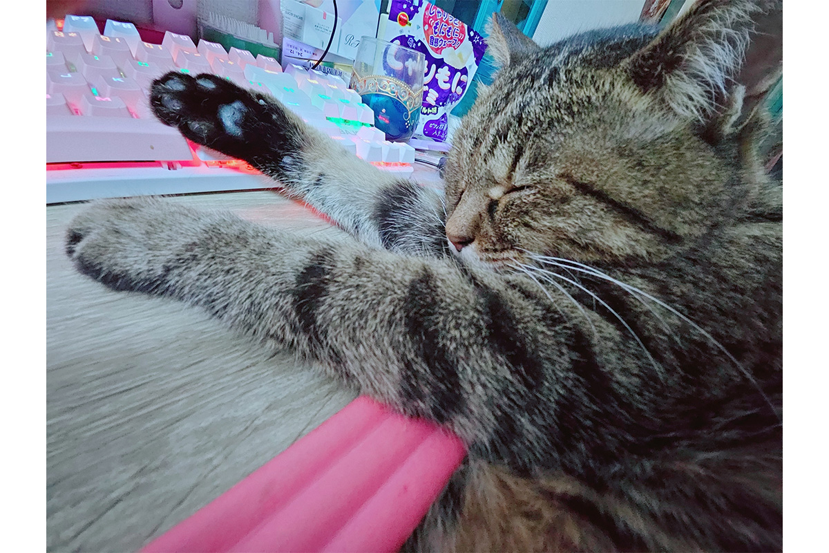 作業デスクに上半身をもたれかけてすやすや