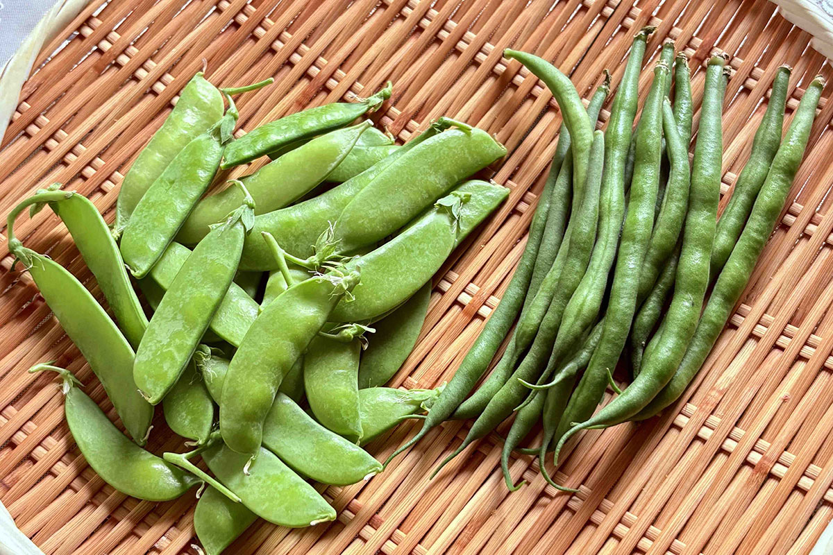 似たような姿の豆科の野菜、区別できる?