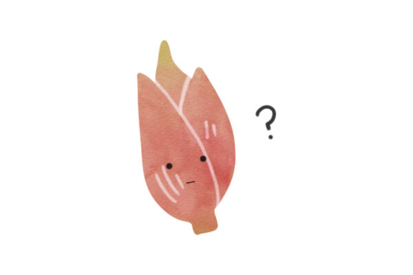 【みょうがの栄養】食べすぎると物忘れしやすいって“うわさ”はホント？おいしい食べ方ってある？栄養士ライターが解説