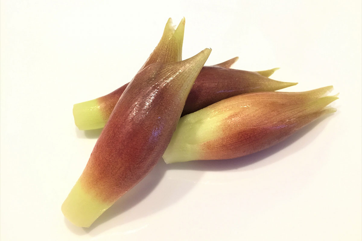 みょうがの栄養知ってますか?