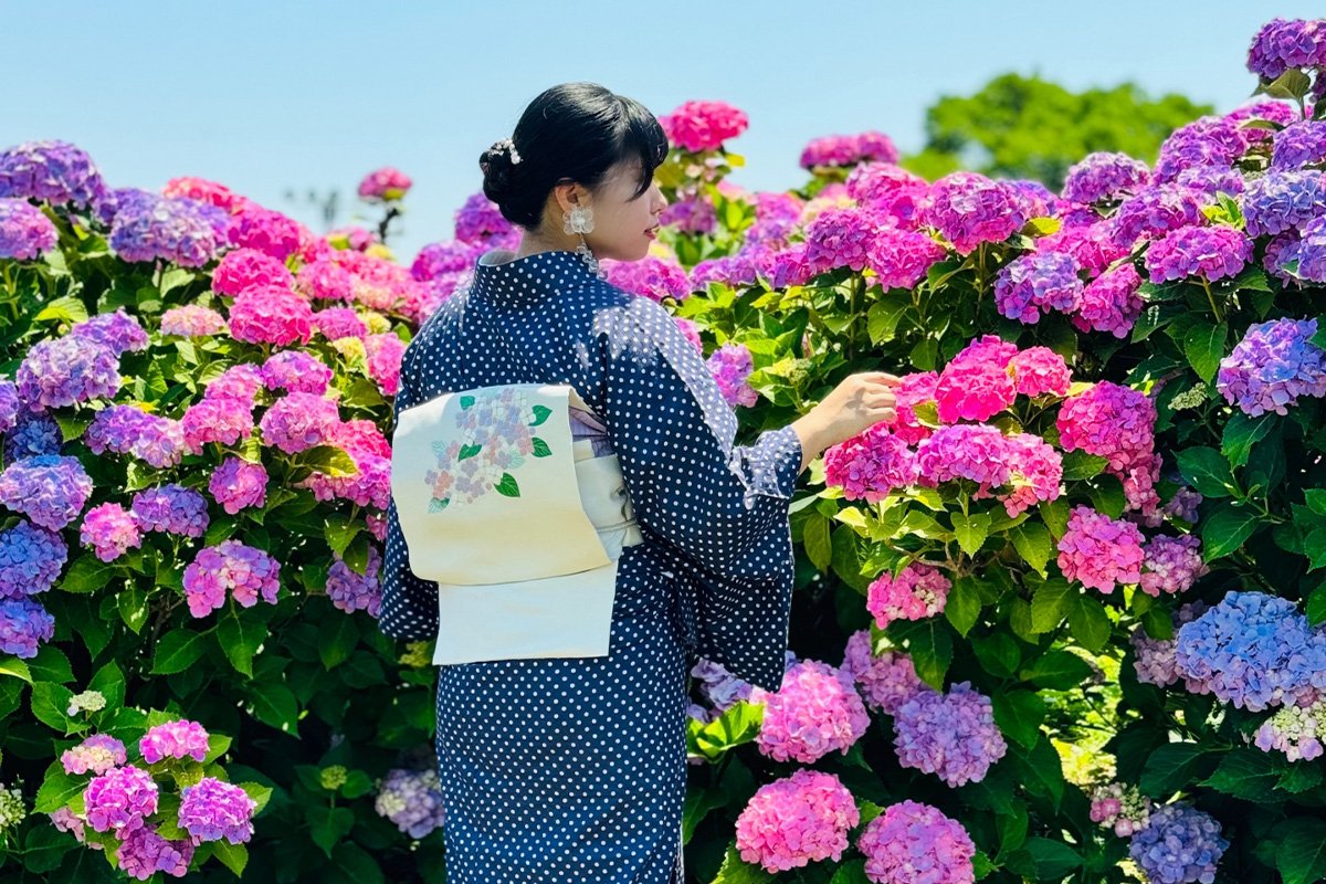 夏でも着たい! 着物のイメージ